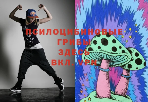 ECSTASY Абинск