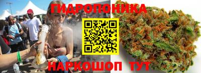 бошки Заводоуковск