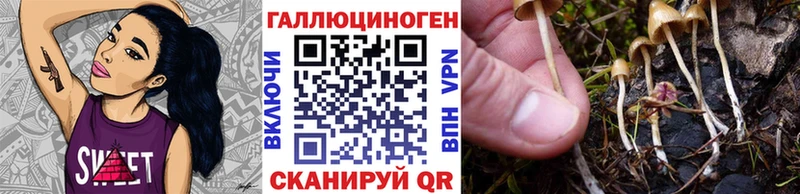 что такое наркотик  Урус-Мартан  кракен   Псилоцибиновые грибы Psilocybine cubensis 