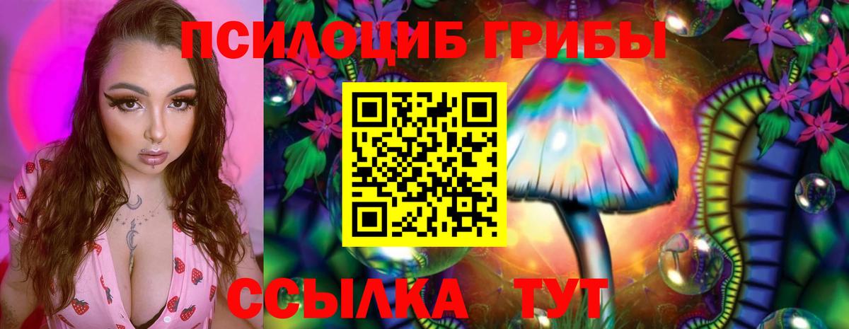 Урус-Мартан  Галлюциногенные грибы MAGIC MUSHROOMS  Вход с VPN 
