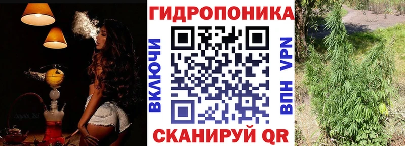 гидра маркетплейс  Урус-Мартан  Шишки марихуана сатива 